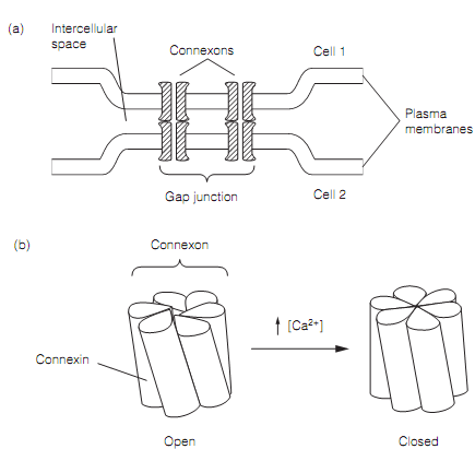 2354_Electrical transmission.png